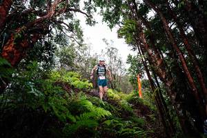 BIB: 
                            <button type="button" onclick="openModal(26202092)" class="btn btn-primary btn-sm float-right btn-popup" data-toggle="modal" data-target=".modal-high-quality">
                        <i class="fas fa-shopping-cart"></i> Add to Cart
                    </button>
                                            <button type="button" onclick="isThisMe(26202092, true)" class="btn btn-success btn-sm float-right btn-popup btn-isme hidden" data-toggle="tooltip" data-placement="bottom" title="นี่คือรูปของคุณใช่ไหม คลิกที่นี่เพื่อเอาเข้าอัลบั้ม">
                        <i class="fas fa-plus"></i> Add to album
                    </button>
                    <button type="button" onclick="isThisMe(26202092, false)" class="btn btn-warning btn-sm float-right btn-popup btn-isnotme hidden">
                        <i class="fas fa-ban"></i> Remove from album
                    </button>